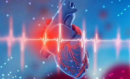 Facts you should know about Heart Attack