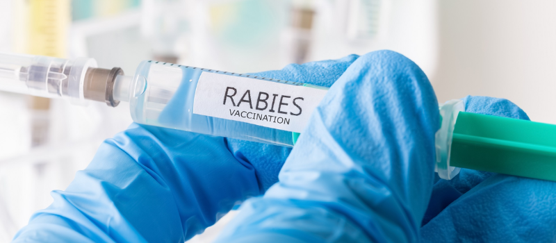 Rabies Vaccine in Hyderabad at home